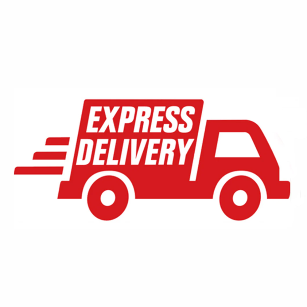 Express Delivery Service